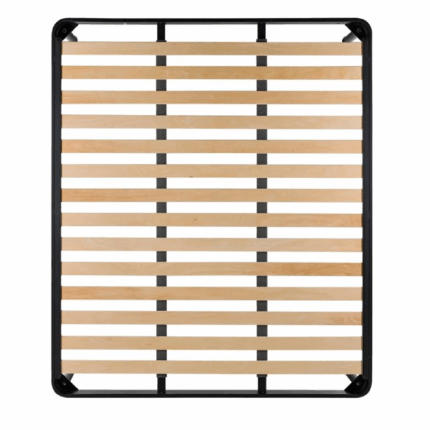 rete plus noi della notte